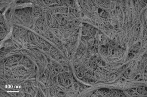 dried lignin-coated nancoellulose fibrils