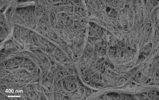 dried lignin-coated nancoellulose fibrils