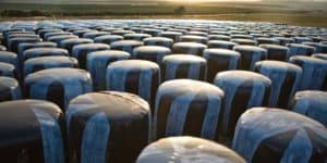 hay-bales