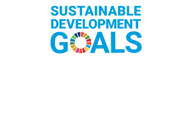 Sustainable Development Goals Logo