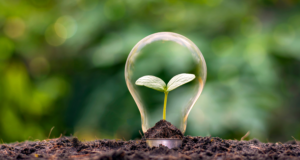 Meeting our neighbors’ needs at Birla Carbon Hamilton
