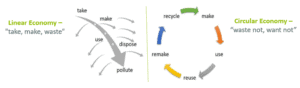 Differences between a circular economy and a linear economy.
