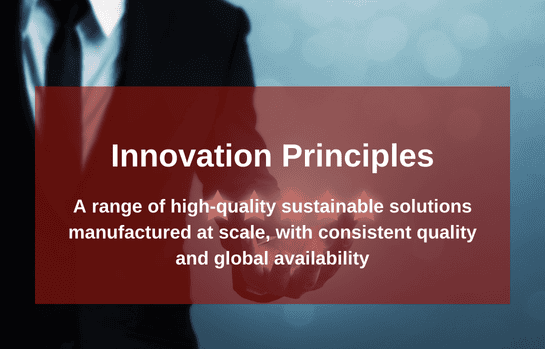 Innovation Principles