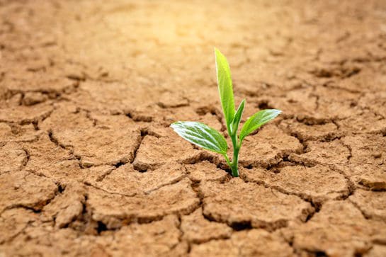 The leadership imperative to adapt and evolve
